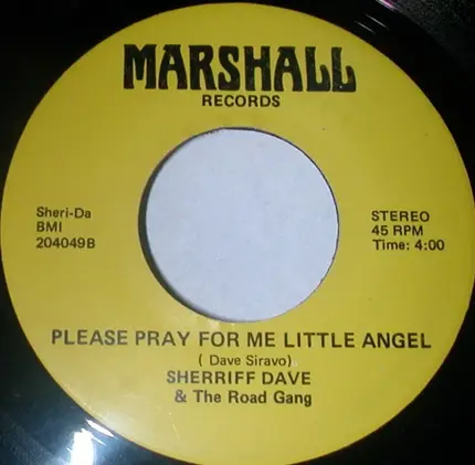 Sherriff Dave And The Road Gang - Stick It In Your Dash