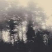 Shifted - The Cold Light