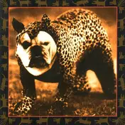 Shifty Sheriffs - Cannibal Animal