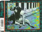 Shifty Sheriffs - Paperflowergarden