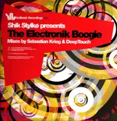 Shik Stylko - The Electronik Boogie