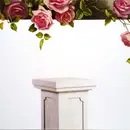 LP - Shima33 - Museum - Limited Edition, 180g, White Vinyl