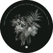 Kai - Merkur 04