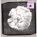 EP - Shine Grooves - Pictures Of Mood - EP