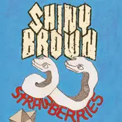 Shiny Brown
