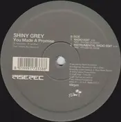 ShinyGrey - You Made a Promise