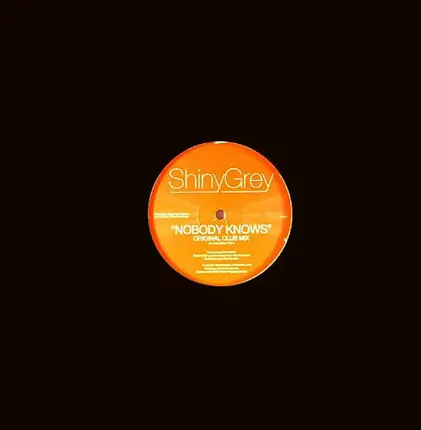 ShinyGrey - I'm A Dreamer / Nobody Knows