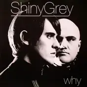 ShinyGrey - Why (Wally Lopez Remixes)