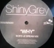 ShinyGrey - Why vs. Eurythmics