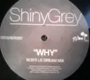 12inch Vinyl Single - ShinyGrey - Why vs. Eurythmics