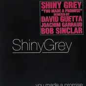 ShinyGrey - You Made A Promise (Les Remixes)