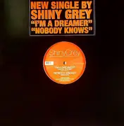 12inch Vinyl Single - ShinyGrey - I'm A Dreamer / Nobody Knows