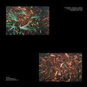 Shlohmo - Bad Vibes