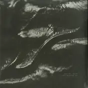 Shlomi Aber - The Rooter EP