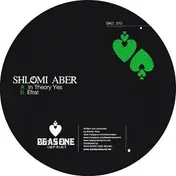 Shlomi Aber - In Theory Yes