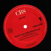 12inch Vinyl Single - Shy Cry - I've Got That Lovin' Feeling
