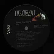 LP - Shy - Brave The Storm