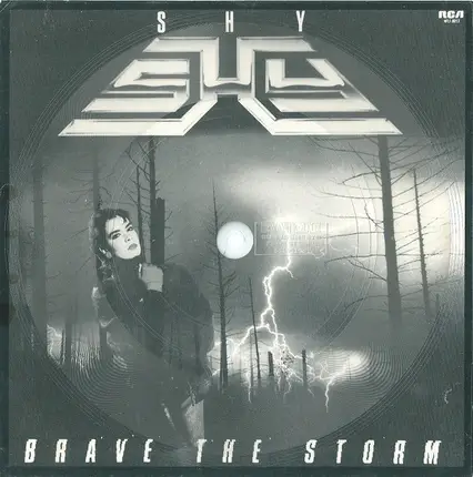 Shy - Brave the Storm