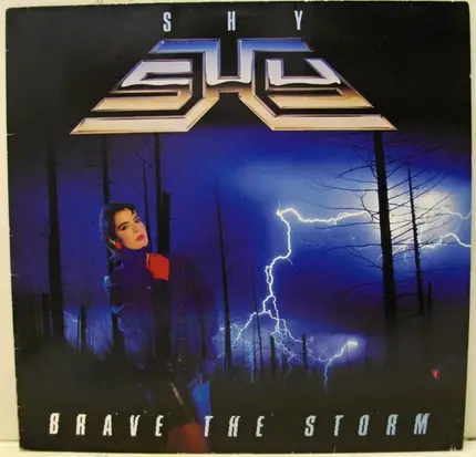 Shy - Brave the Storm
