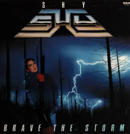 Shy - Brave the Storm