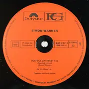 12inch Vinyl Single - Simon Warner - Perfect Day Baby / Swiss Wood Version