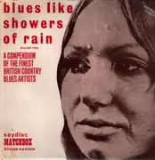 LP - Simon And Steve, Fran McGillivray, Little Brother Dave a.o. - Blues Like Showers Of Rain Volume Two