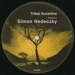 Simon Nedeczky