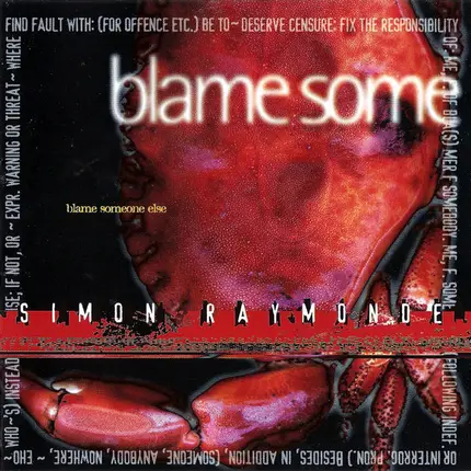 Simon Raymonde - Blame Someone Else