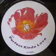 7inch Vinyl Single - Simone Le Gassick - Perfect Kinda Love / Get Your Hands Up