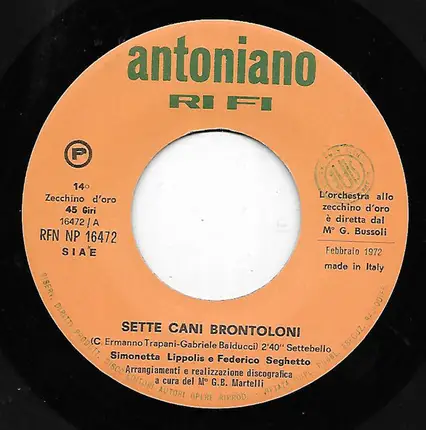 Simonetta Lippolis E Federico Seghetto / Stefania Toccafondi E Lorenza Bauer - Sette Cani Brontoloni / La Torre Degli Asinelli