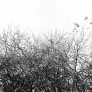 Simon Joyner - Lost with the Lights On