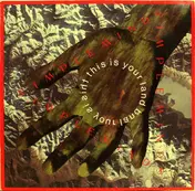 Simple Minds - This Is Your Land