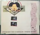 CD - Simple Minds - Promised You A Miracle