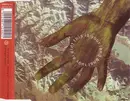 CD Single - Simple Minds - This Is Your Land