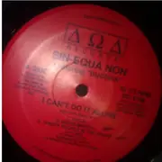 12inch Vinyl Single - Sin-Equa Non - I Can't Do It Alone