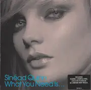 CD Single - Sinead Quinn - What You Need Is...
