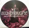 Picture LP - Sinergy - Beware The Heavens