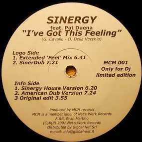 SINERGY - I've Got This Feeling