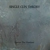 Single Gun Theory