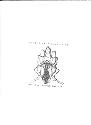 Single Cell Orchestra - Blockhead Part Y