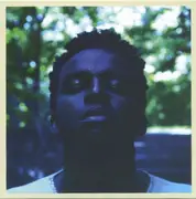 Double CD - Sinkane - Mean Love - gatefold sleeve