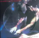 LP - Siouxsie & The Banshees - The Scream - Picture Disc
