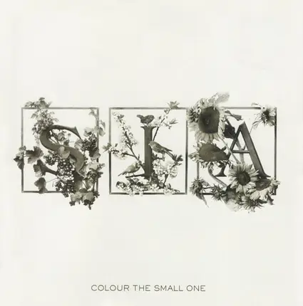 Sia - Colour the Small One