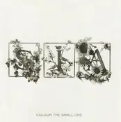 Sia - Colour the Small One