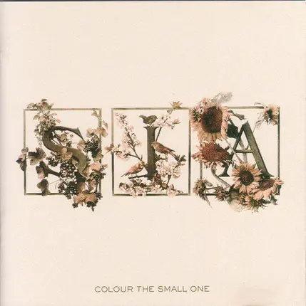 Sia - Colour the Small One