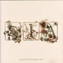 CD - Sia - Colour The Small One