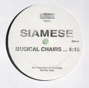 Siamese - Musical Chairs