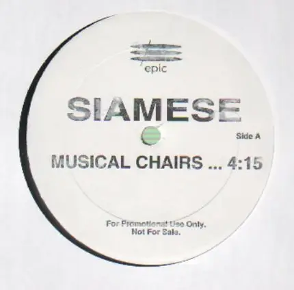 Siamese - Musical Chairs