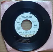 Side Of The Road Gang - What Am I Doin' Hangin' Round