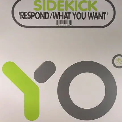 Sidekick - Respond / What You Want